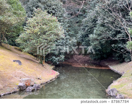 新年的栗林庭園（1月初） 87867784