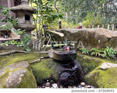 寒冷的栗林庭園（1月下旬） 87868693