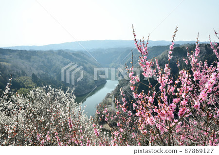 Tsukigase Umekei (Lake Tsukigase and plum blossoms) [Tsukigase Village, Nara Prefecture] 87869127