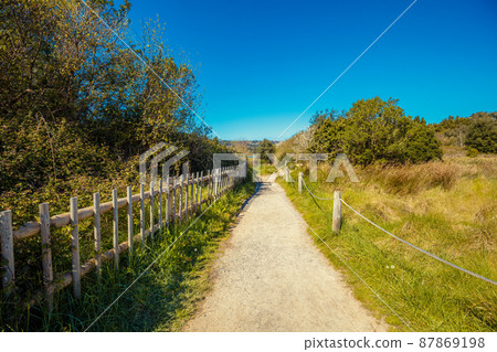 Walkway in the Natural reserve (Natural resources) Marisma de Joyel. Cantabria, Spain, Europe Walkway in the Natural reserve (Natural resources) Marisma de Joyel. Cantabria, Spain, Europe 87869198