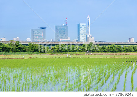 “埼玉縣”埼玉市,水稻種植後的水沼稻田美景 “埼玉縣”埼玉市,水稻種植後的水沼稻田美景 87869242