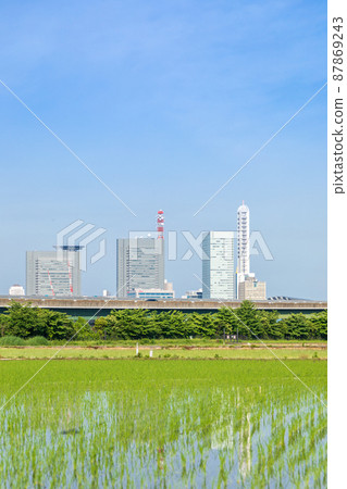 “埼玉縣”埼玉市,水稻種植後的水沼稻田美景 “埼玉縣”埼玉市,水稻種植後的水沼稻田美景 87869243