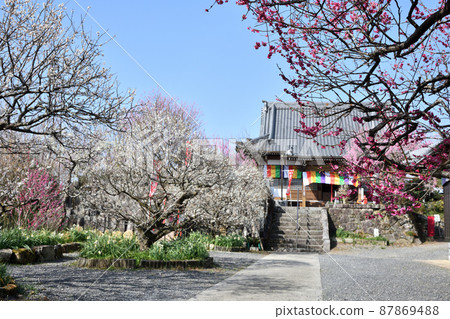 新福寺（月瀨梅溪）[奈良縣月瀨村] 87869488