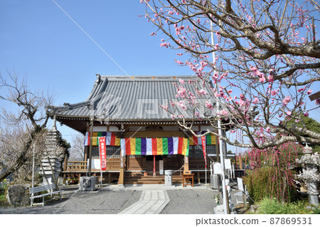 新福寺[左側的姬路梅]（月瀨梅景）[奈良縣月瀨村] 87869531