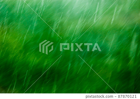blurry falling raindrops on green background with selective focus 87870121