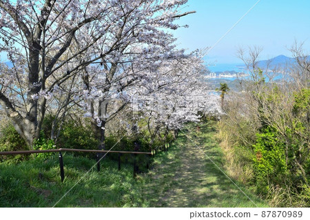 [Shimanami Kaido] Iwagi Island, a spectacular view from the observatory and cherry blossoms in full bloom 87870989