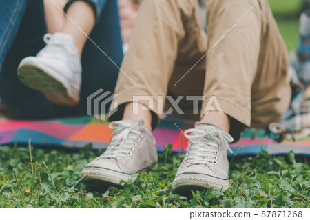 A couple of parks 87871268