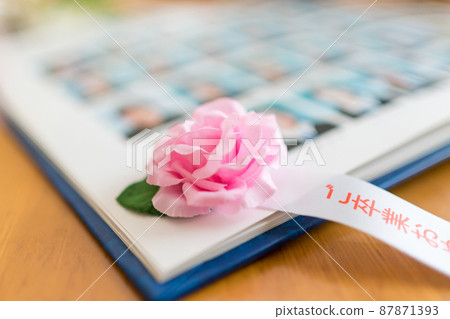 Graduation album Graduation album 87871393