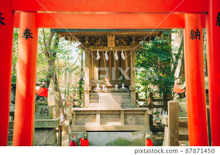 Inari公司 87871450