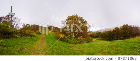 Plateau of autumn leaves (Chuo Plateau, Zao, Yamagata Prefecture) 87871868