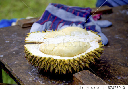 婆羅洲的臭果是榴蓮之王 87872040