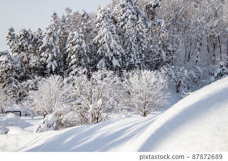 A beautifully snow-covered park 87872689