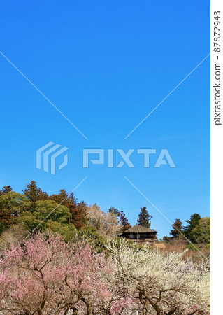 Spring Kobuntei, Mito City, Ibaraki Prefecture Spring Kobuntei, Mito City, Ibaraki Prefecture 87872943