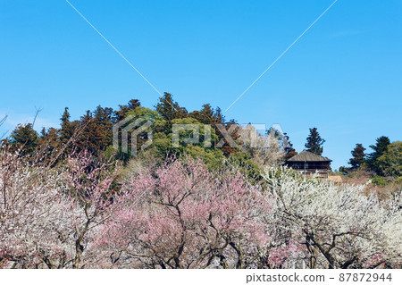 Spring Kobuntei, Mito City, Ibaraki Prefecture Spring Kobuntei, Mito City, Ibaraki Prefecture 87872944