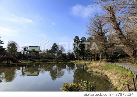 鎌倉殿的權威神奈川縣橫濱市金澤區正明寺的早春,與北條市有關 鎌倉殿的權威神奈川縣橫濱市金澤區正明寺的早春,與北條市有關 87873124