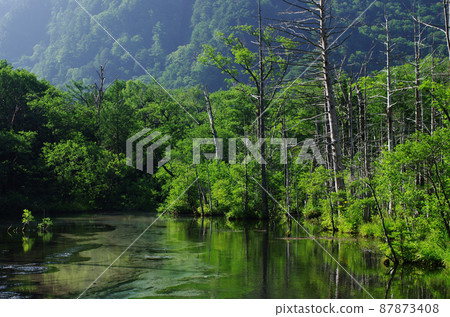 How many times have you entered this massif in Kamikochi, fascinated by this pleasant sound? I love this moment of being in nature. 87873408