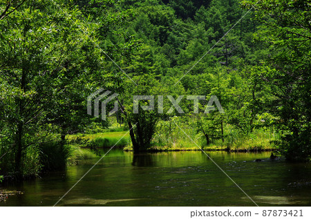 How many times have you entered this massif in Kamikochi, fascinated by this pleasant sound? I love this moment of being in nature. How many times have you entered this massif in Kamikochi, fascinated by this pleasant sound? I love this moment of being in nature. 87873421