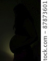 Pregnant woman silhouette 87873601