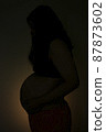 Pregnant woman silhouette 87873602
