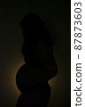Pregnant woman silhouette 87873603