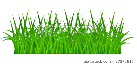 Green grass on white 87873615