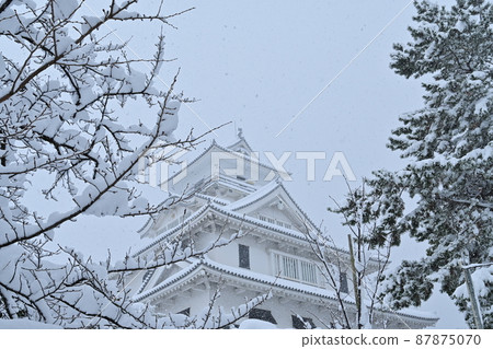 Nagahama Castle Museum and Snowfall Nagahama Castle Museum and Snowfall 87875070