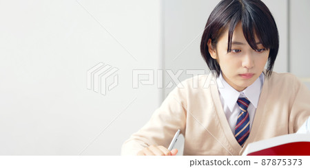 Female students studying for entrance exams Female students studying for entrance exams 87875373