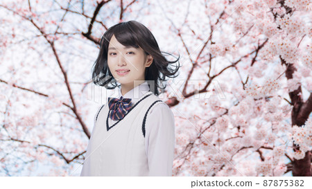 小櫻和女學生、高中生、考生 87875382