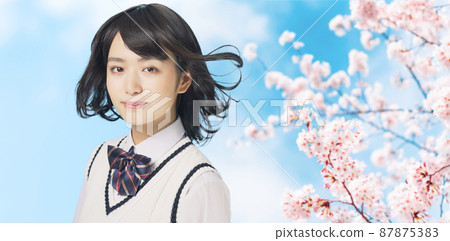 小櫻和女學生、高中生、考生 87875383