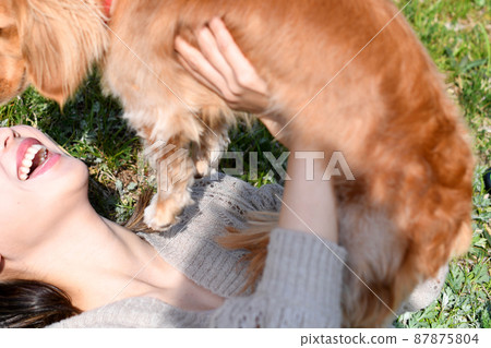 A young woman lying outdoors and playing with her dog (miniature dachshund) A young woman lying outdoors and playing with her dog (miniature dachshund) 87875804