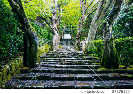 Cobblestone Kyoto Moss Temple Cobblestone Kyoto Moss Temple 87876153
