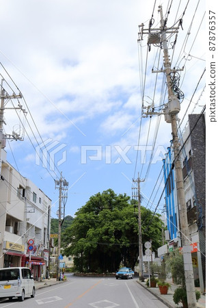 沖繩名護 Hinpun Banyan 沖繩名護 Hinpun Banyan 87876357