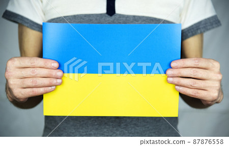 Ukrainian flag 87876558