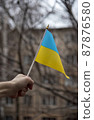 Ukrainian flag 87876580