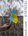 Ukrainian flag 87876581