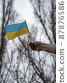 Ukrainian flag 87876586