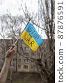 Ukrainian flag 87876591