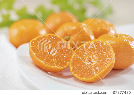 與心蘭切美味橘子的形象 87877480