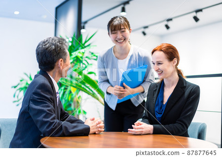 Interpreter and secretary 87877645