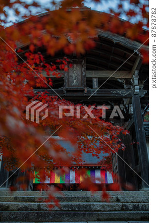 京都:二尊院的紅葉 京都:二尊院的紅葉 87878782
