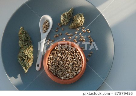 A bunch of cannabis seeds lie on a spoon and plate with several dried buds A bunch of cannabis seeds lie on a spoon and plate with several dried buds 87879456