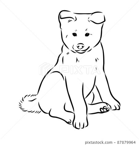 can a akita live in saudi arabia