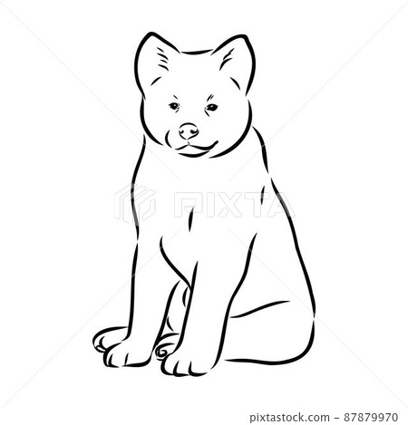 Akita dog face - isolated vector illustration akita inu dog vector 87879970