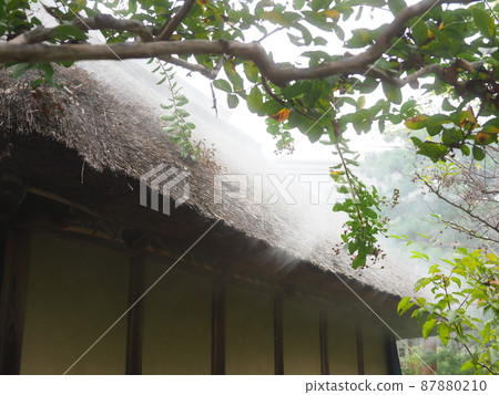 熏蒸稻草屋頂 熏蒸稻草屋頂 87880210