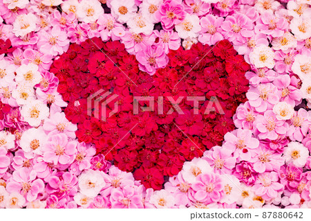 Heart flower hand water 87880642