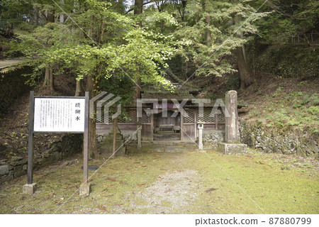 醍醐水上吾鄉 醍醐水上吾鄉 87880799