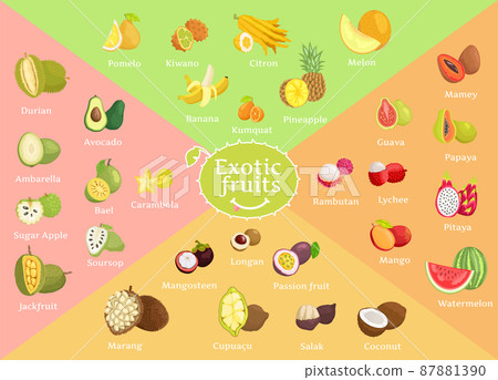 Exotic Fruits Collection Color Vector Illustration 87881390