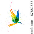 Colorful fantasy abstract bird in flight on white bakground 87881555