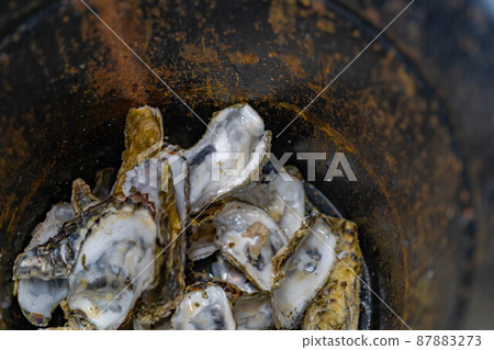 Oyster hut All-you-can-eat oyster image [Miyagi Prefecture] 87883273