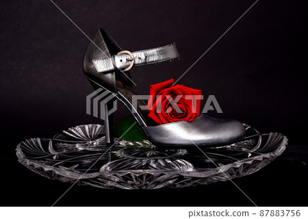 Lady's Shoe and rose Lady's Shoe and rose 87883756